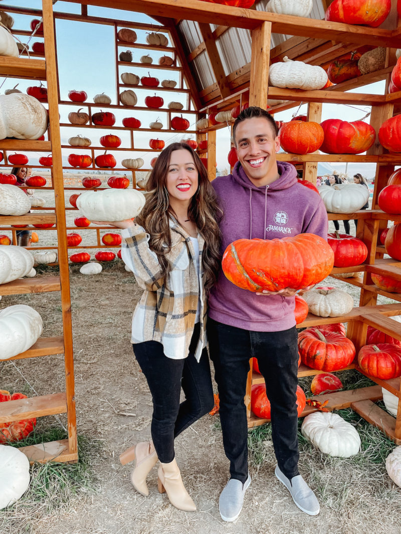 Gourd Times Await At Lowe Family Farmstead! » BOISE SOCIALITE