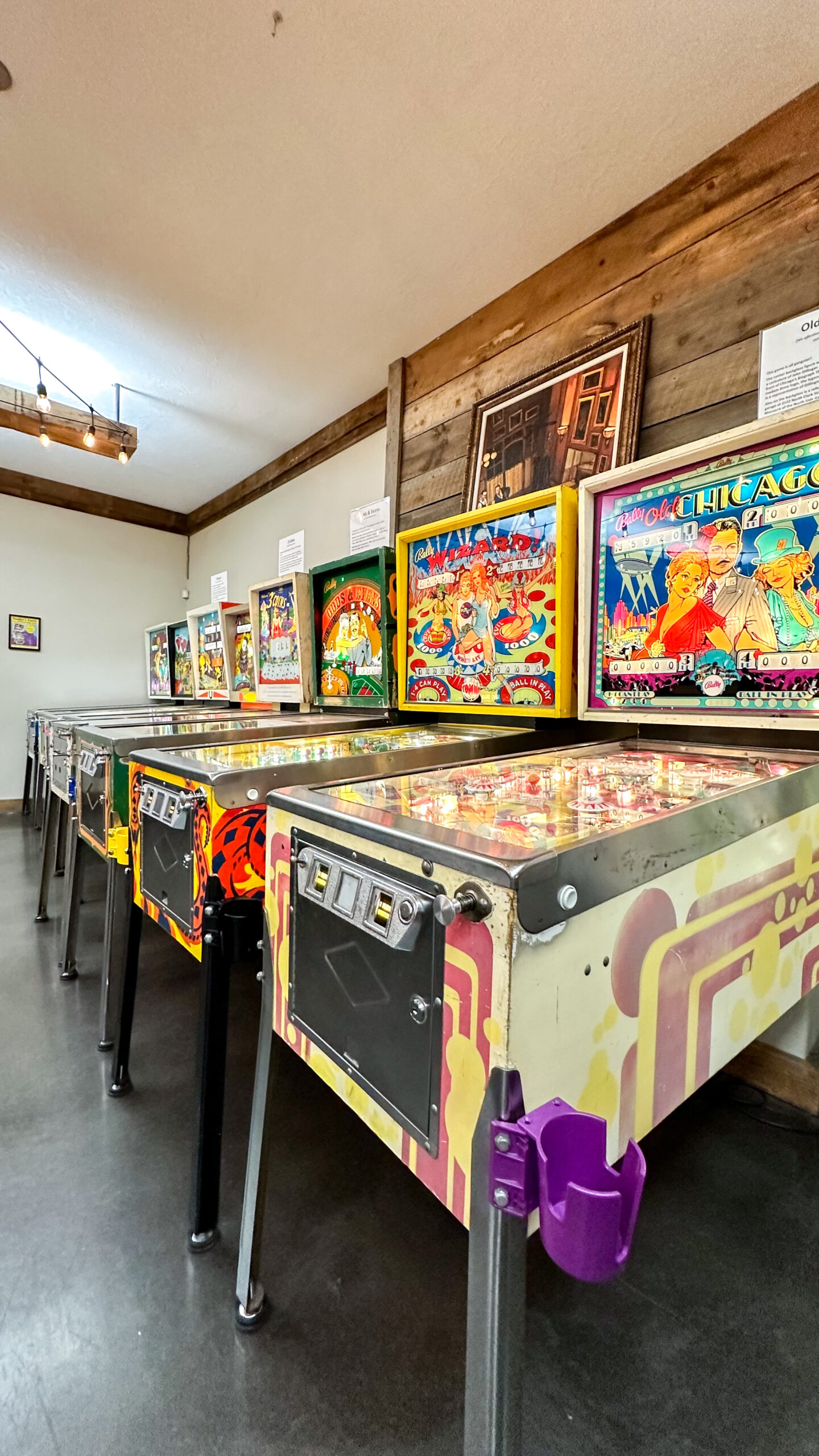 Boise, Idaho Pinball Museum